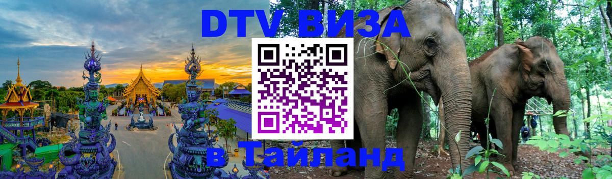 Оформление DTV визы под ключ: стоимость и тарифы, только загранпаспорт - 06.10.2025 